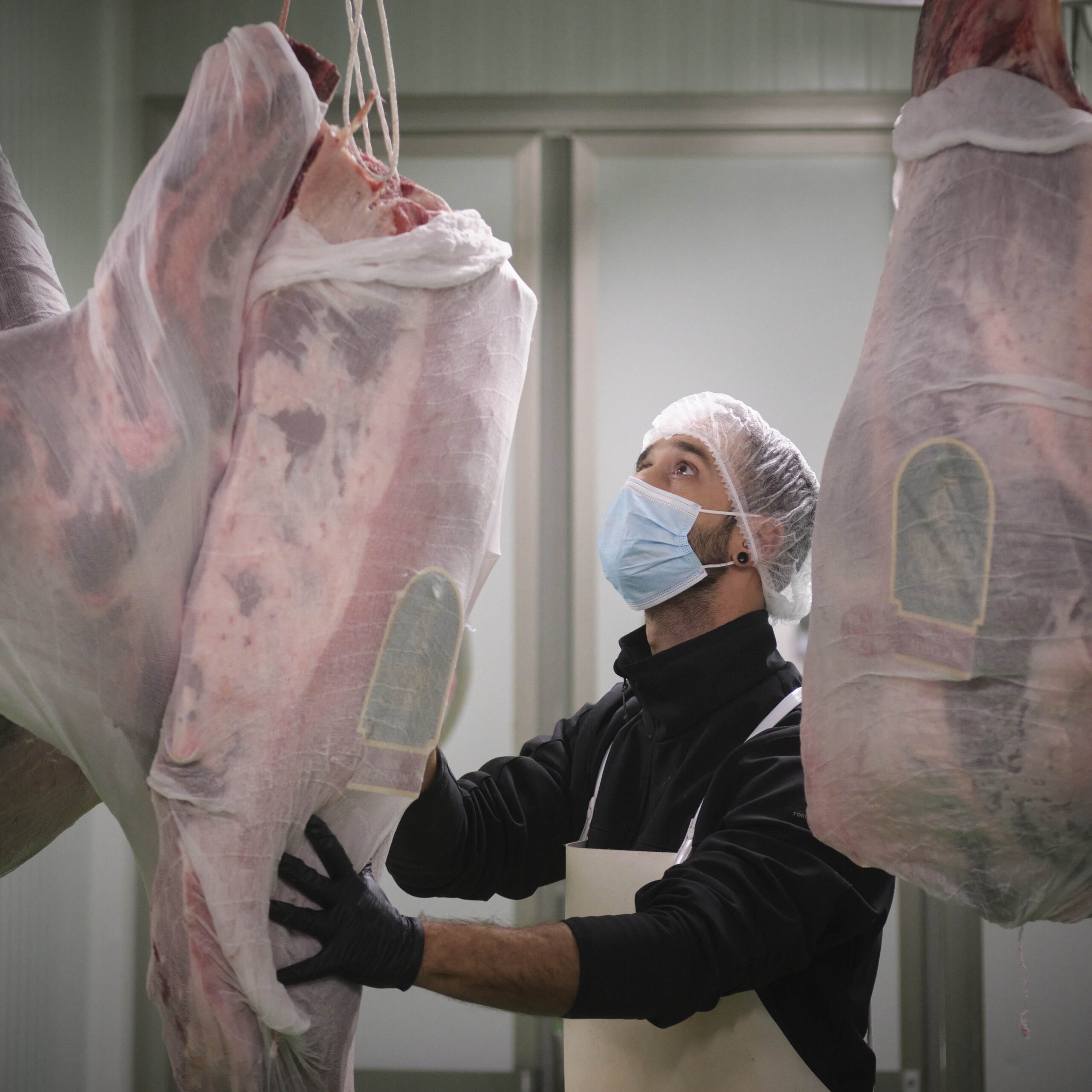 Tipos de cortes de carne de ternera